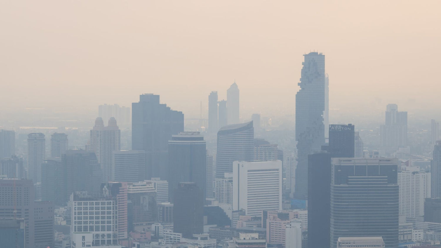 How Pollution Particulates Attach to the Scalp and Trigger Irritation
