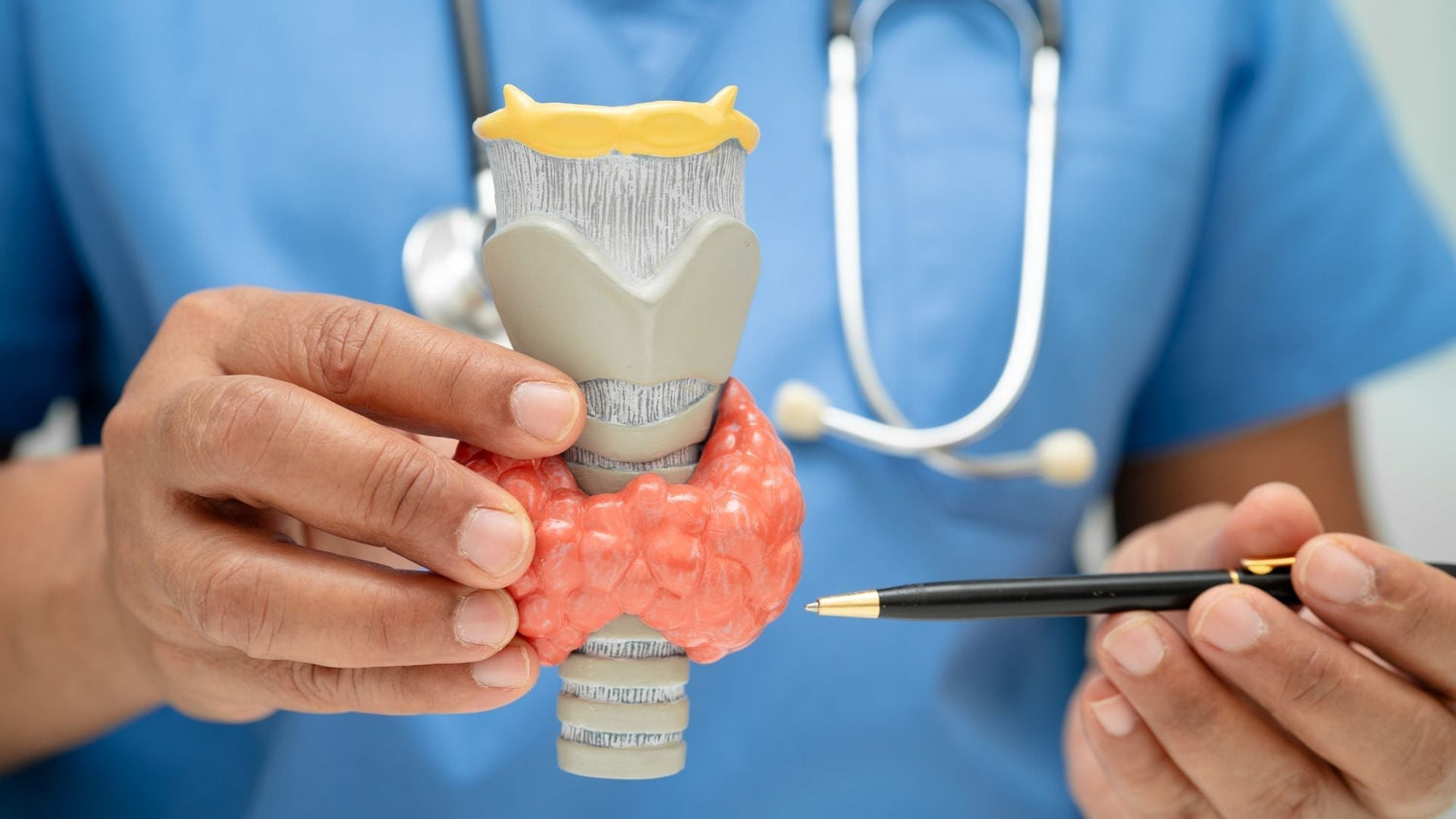 How Hormones Shape Scalp Health and Hair Growth