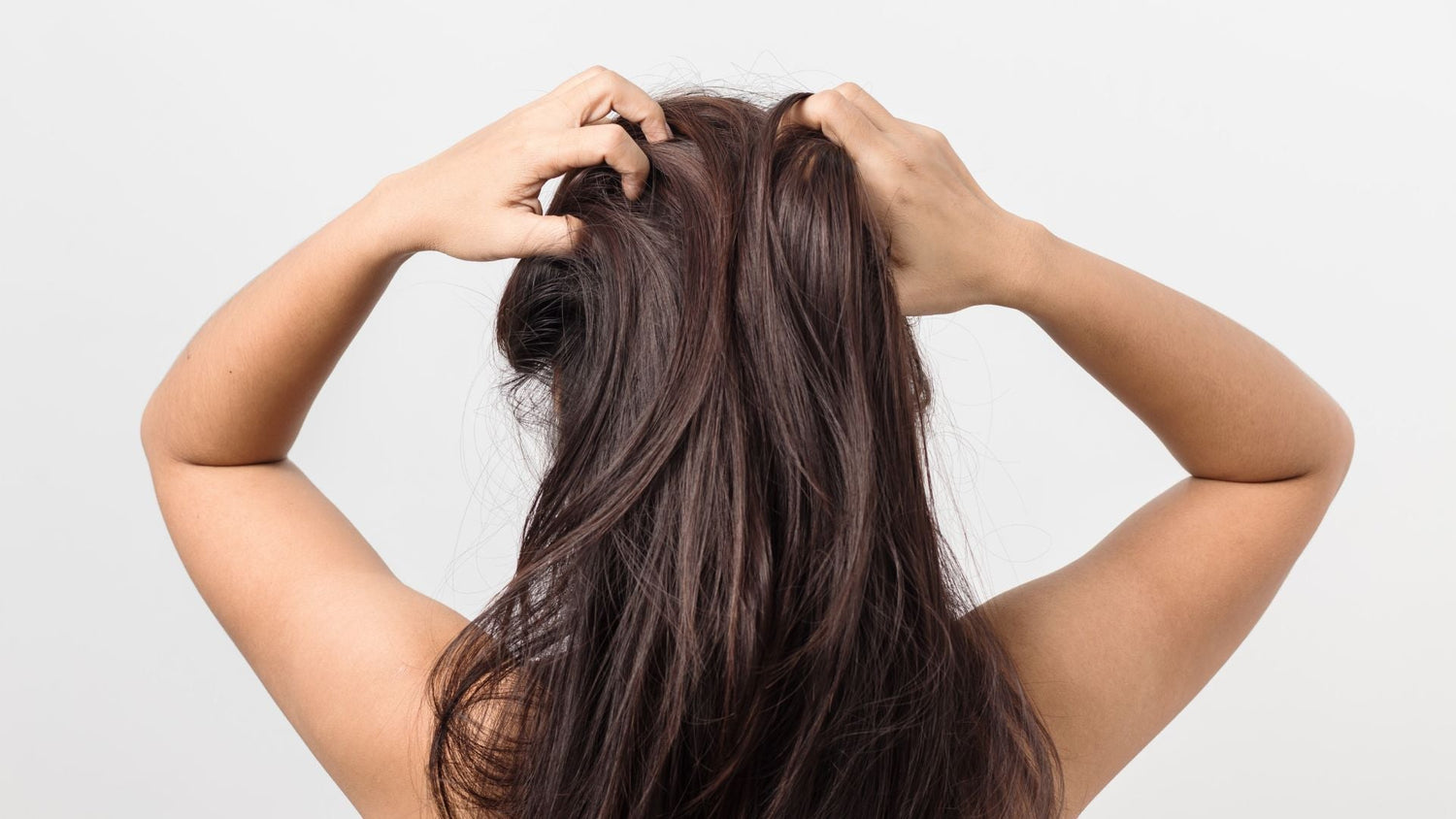 Itchy Scalp Guide: How Washing Frequency Shapes Relief and Comfort