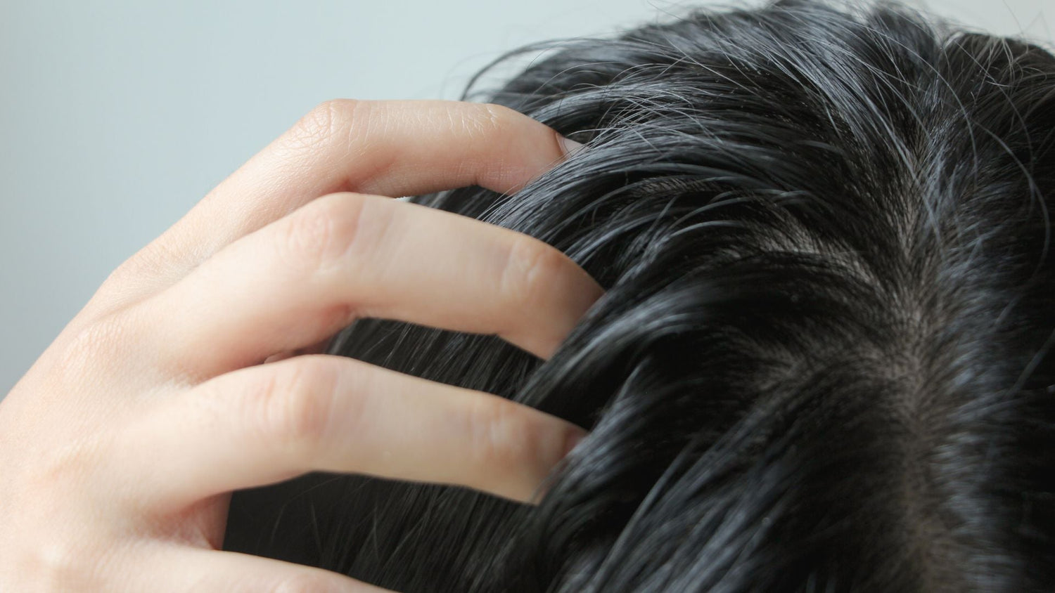Scalp Build-Up Management: Clarifying Cycles and Restoring Balance