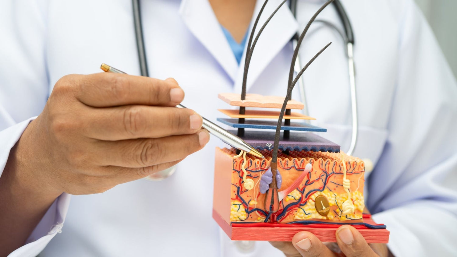 Scalp Microcirculation: How Blood Flow Shapes Scalp Health and Hair Growth