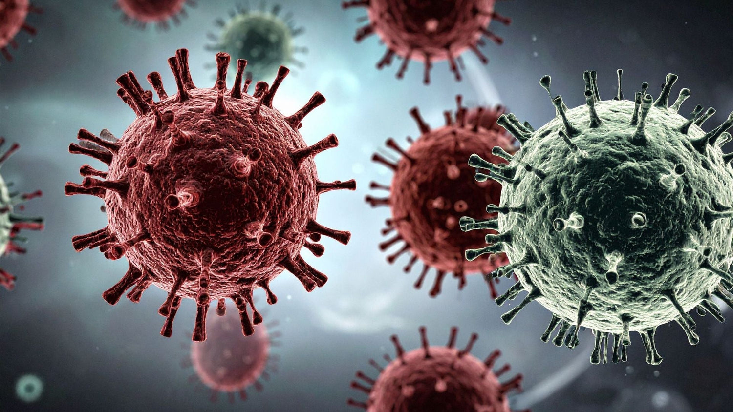Scalp Microbiome Balance: How Microbes, Niches, and Biofilms Shape Scalp Health