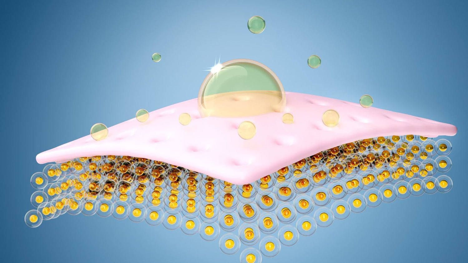 Calcineurin Inhibitors on the Scalp: Implementation Checklist