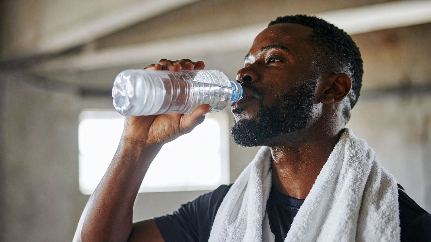 Sensitive Scalp Shampoo Routine for Daily Gym Washers and Colour Care